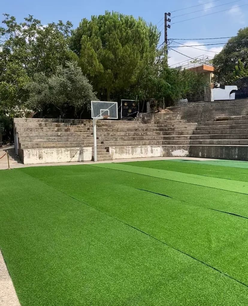 Artificial Grass photo 1