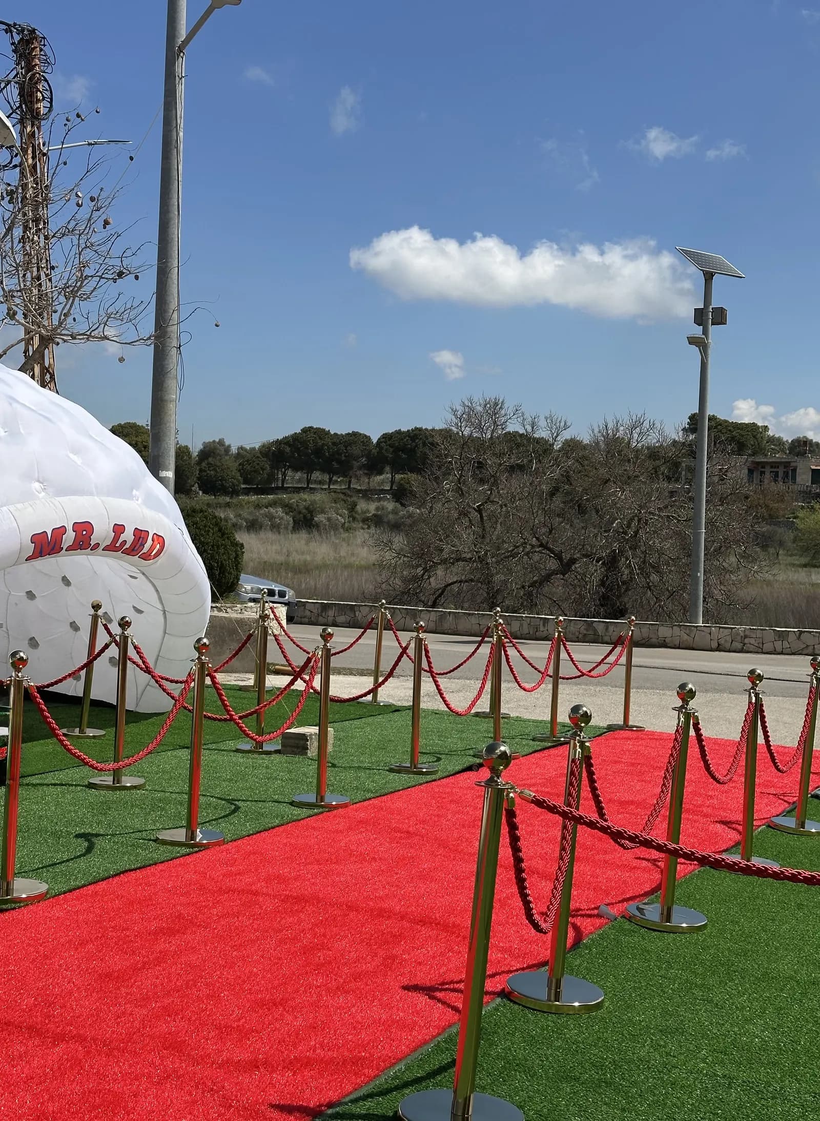 Red Carpet photo 1